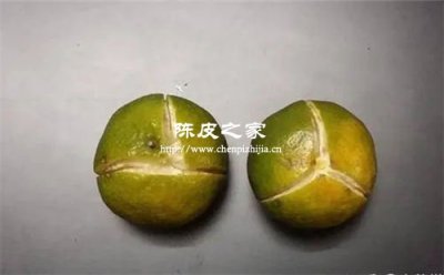 陳皮茶的陳皮是用什么皮做的