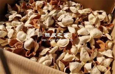 陳皮可以放在紙箱里保存嗎