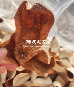 2022年的陳皮可以吃嗎