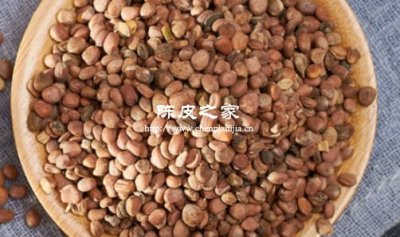 辣蘿卜籽和陳皮泡水具有什么樣的功效和作用