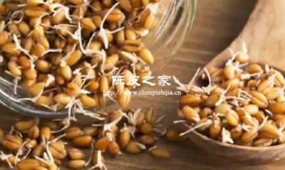 陳皮山楂麥芽三者一起煮水喝具有什么功效