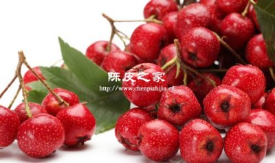 陳皮還可以和什么泡水具有什么功效