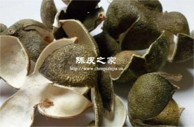 青皮陳皮和大紅陳皮的區(qū)別