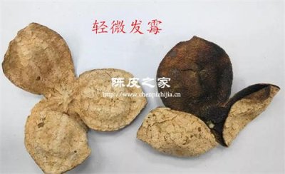 陳皮有股臭腥味是怎么回事