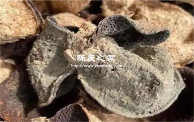 陳皮發霉了還能繼續吃嗎