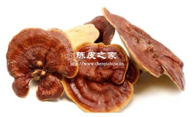 陳皮和靈芝泡水喝有什么功效