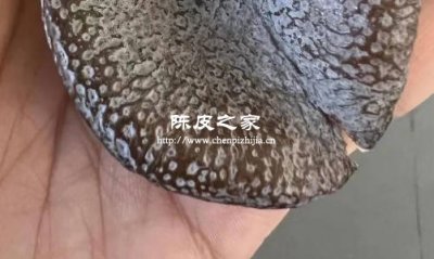 八年陳皮上有發(fā)白是不是壞