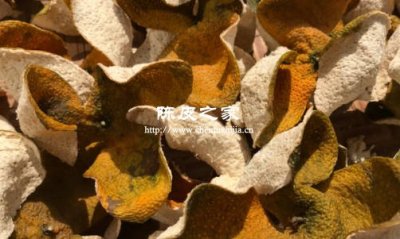 陳皮放烤箱里烤跟曬的是一樣的嗎