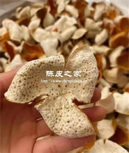 剛收的新會陳皮還需要曬一下嗎
