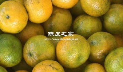 新會陳皮二紅柑鮮果買那個產地的好