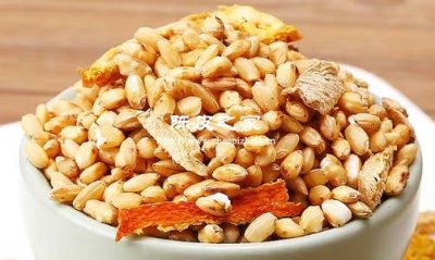 陳皮姜米茶的功效與作用禁忌