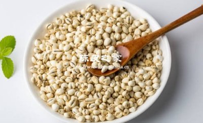 川貝陳皮老冰糖的作用與功效