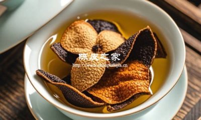 陳皮水可以上午泡下午喝嗎