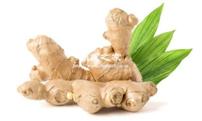 陳皮山楂老姜泡水喝的功效