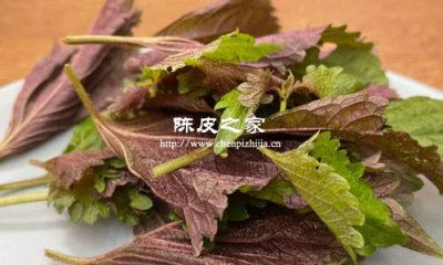 陳皮紫蘇生姜水的功效與作用