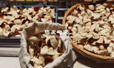 剛曬的陳皮要曬幾天可裝袋