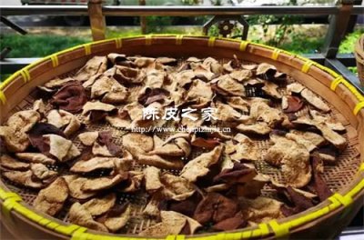 陳皮可以在地暖上晾嗎？為什么