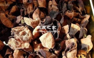北方干燥環(huán)境會殺死陳皮活性嗎？