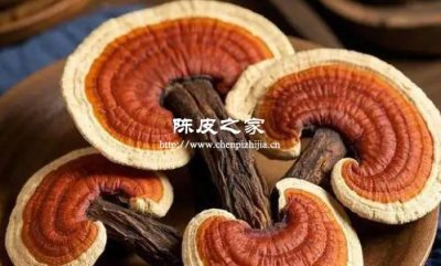 靈芝陳皮一起用的功效與作用及禁忌