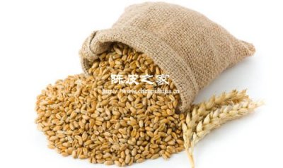 麥芽山楂陳皮的功效與作用