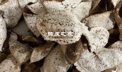 新會陳皮有蟲眼和蜘蛛網還能吃嗎