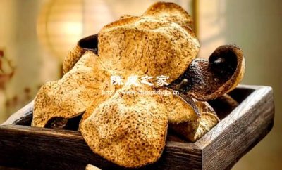 正宗陳皮吃后有辛辣味嗎