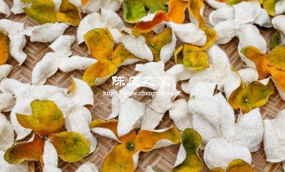 陳皮是三蒸三曬好還是生曬好