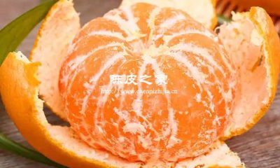 只做陳皮的果實可以吃嗎