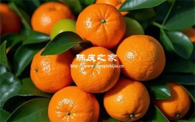 橘子皮怎么儲存能制成陳皮