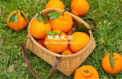丑橘的皮可以制作陳皮嗎