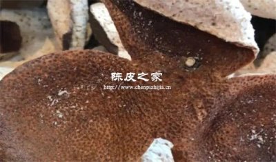 陳皮泡過后晾干皮上有白點是啥