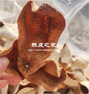 陳皮多少年份適合泡水喝