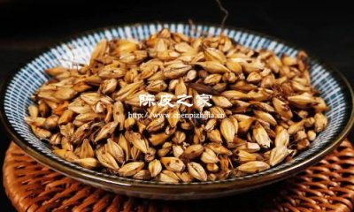 炒麥芽加陳皮泡水每天能喝嗎