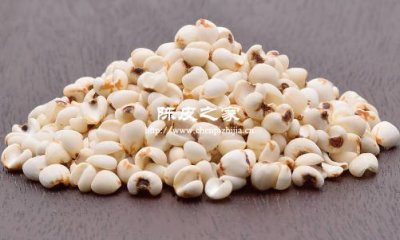 陳皮薏仁茶有什么藥用效果