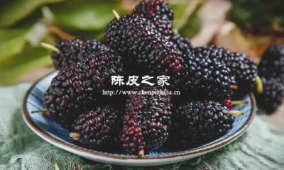 玫瑰花桑椹陳皮泡水的功效