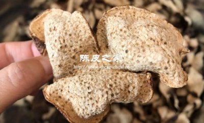 陳皮發(fā)霉了怎么辦還能吃嗎