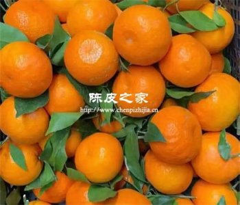 市面上較甜的柑橘皮可以做陳皮嗎