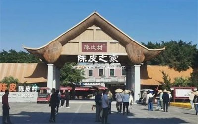 東甲陳皮和梅江陳皮的區(qū)別大嗎