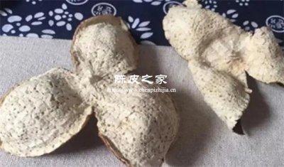 駁枝和原枝看皮是怎樣分別出來