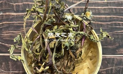 陳皮蒲公英荷葉泡水喝功效