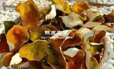 那種皮很厚肉很酸的橘子能做陳皮嗎