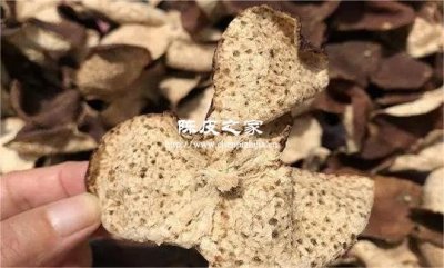 茶坑陳皮與梅江陳皮的區別