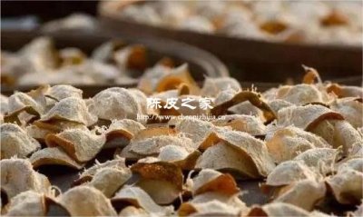 陳皮茯苓荷葉水可以去濕熱嗎