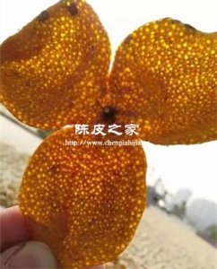 打燈看陳皮透光就是新會(huì)陳皮嗎