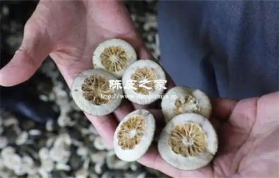 枳殼和陳皮煮水喝的功效