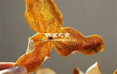 新會陳皮表皮“油胞”越多越好嗎