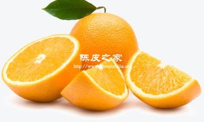 陳皮可以和新鮮水果一起煮水果茶喝嗎