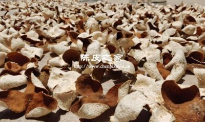 曬陳皮要不要反向皮那邊曬，這是為什么