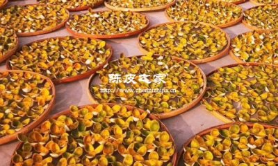 陳皮曬太陽曬溫度多少合適