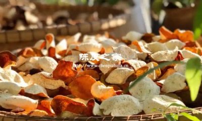 平常喝陳皮水最好最買多少年的陳皮來泡水喝